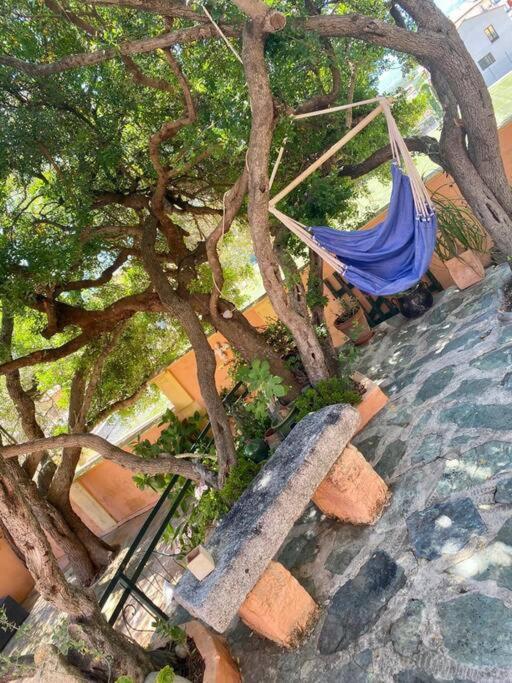 Villa Antonia Calvi  Dış mekan fotoğraf